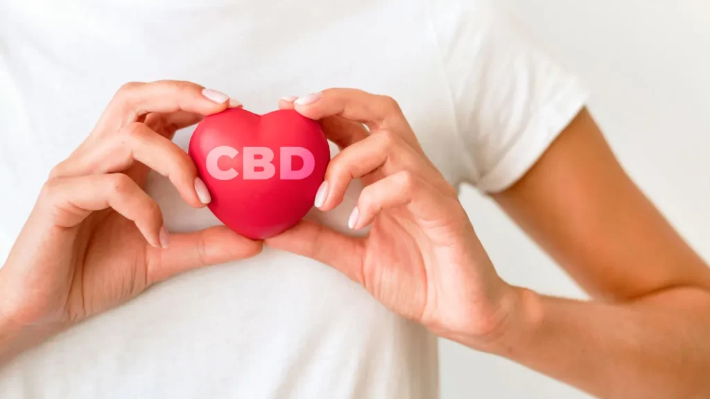 CBD e salute del cuore: cosa sappiamo finora