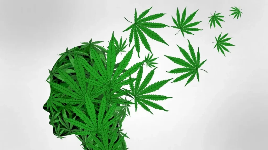 Come il CBD può aiutare nel recupero dalla dipendenza