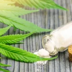 CBD a spettro completo e CBD isolato: qual è la differenza?