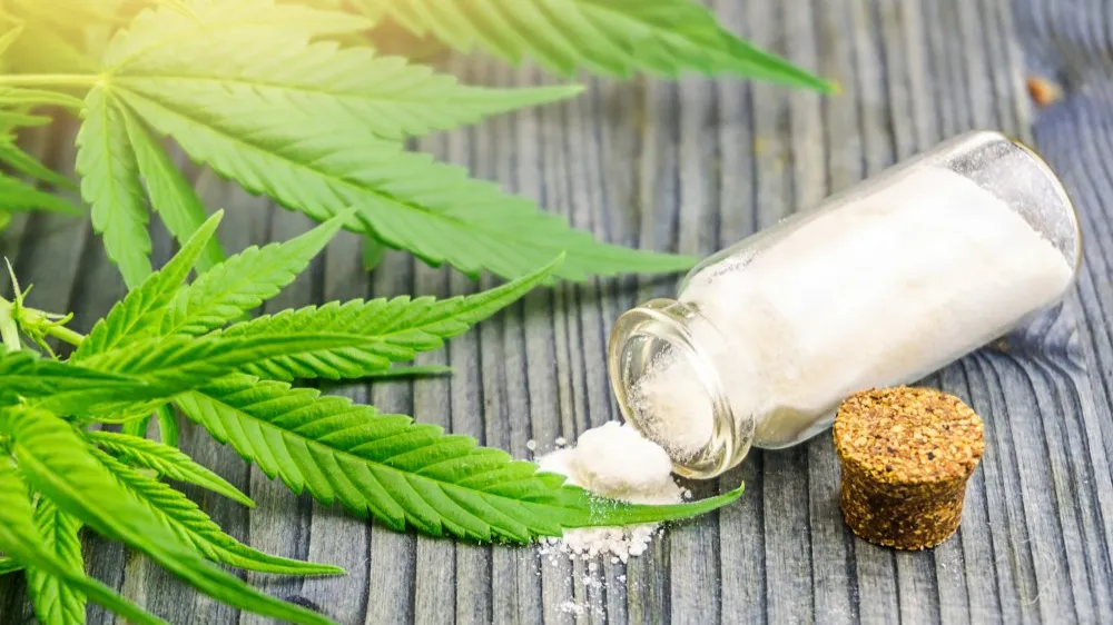 CBD a spettro completo e CBD isolato: qual è la differenza?