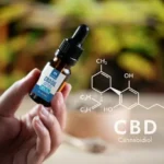 CBD e salute dell'intestino: potrebbe migliorare la digestione?