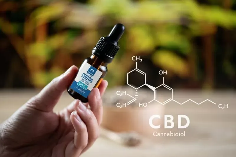 CBD e salute dell'intestino: potrebbe migliorare la digestione?