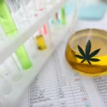 Il CBD emerge da un test antidroga?